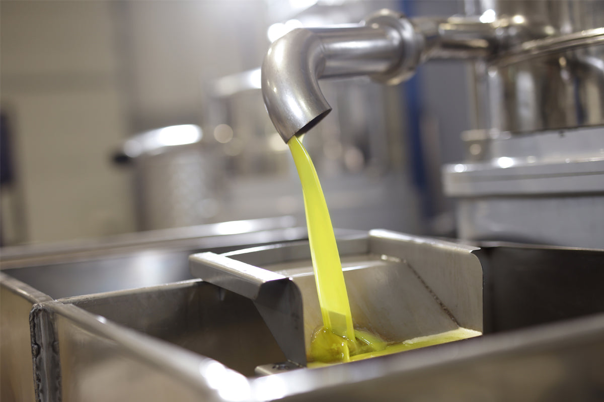 Accademia Olearia Fruttato 12-Pack