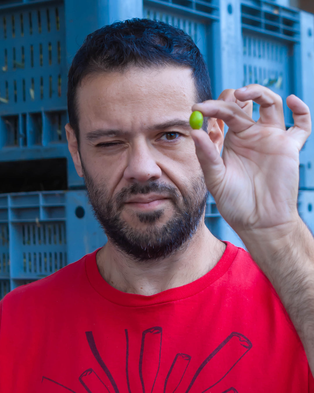 Marina Palusci Alchimia 12-Pack