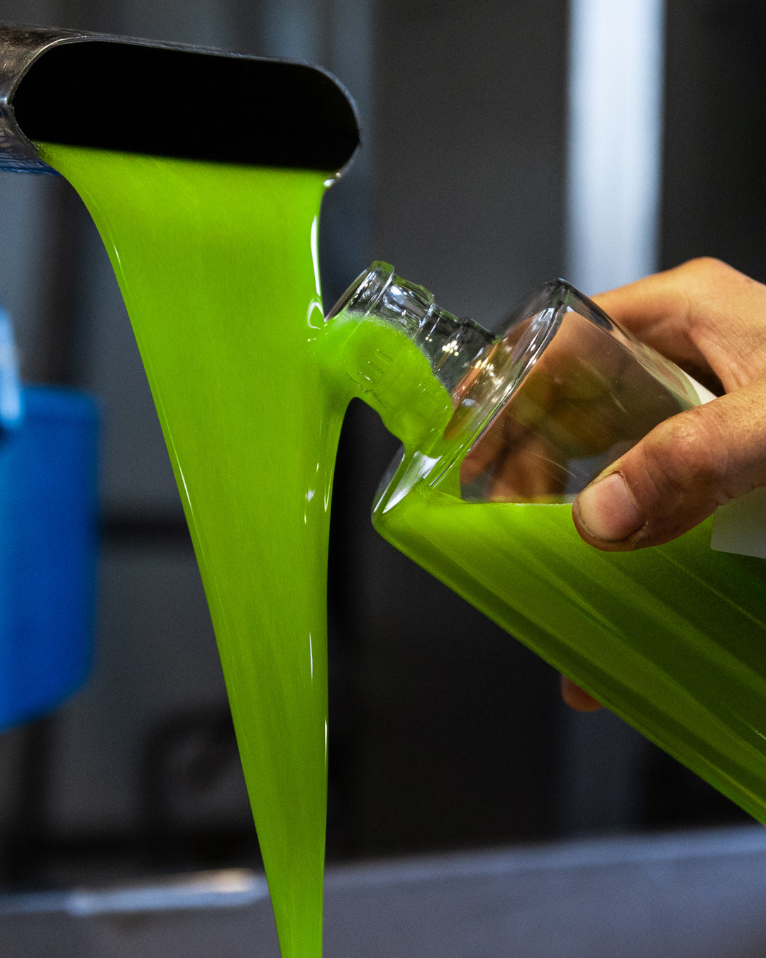 Marina Palusci Alchimia 12-Pack