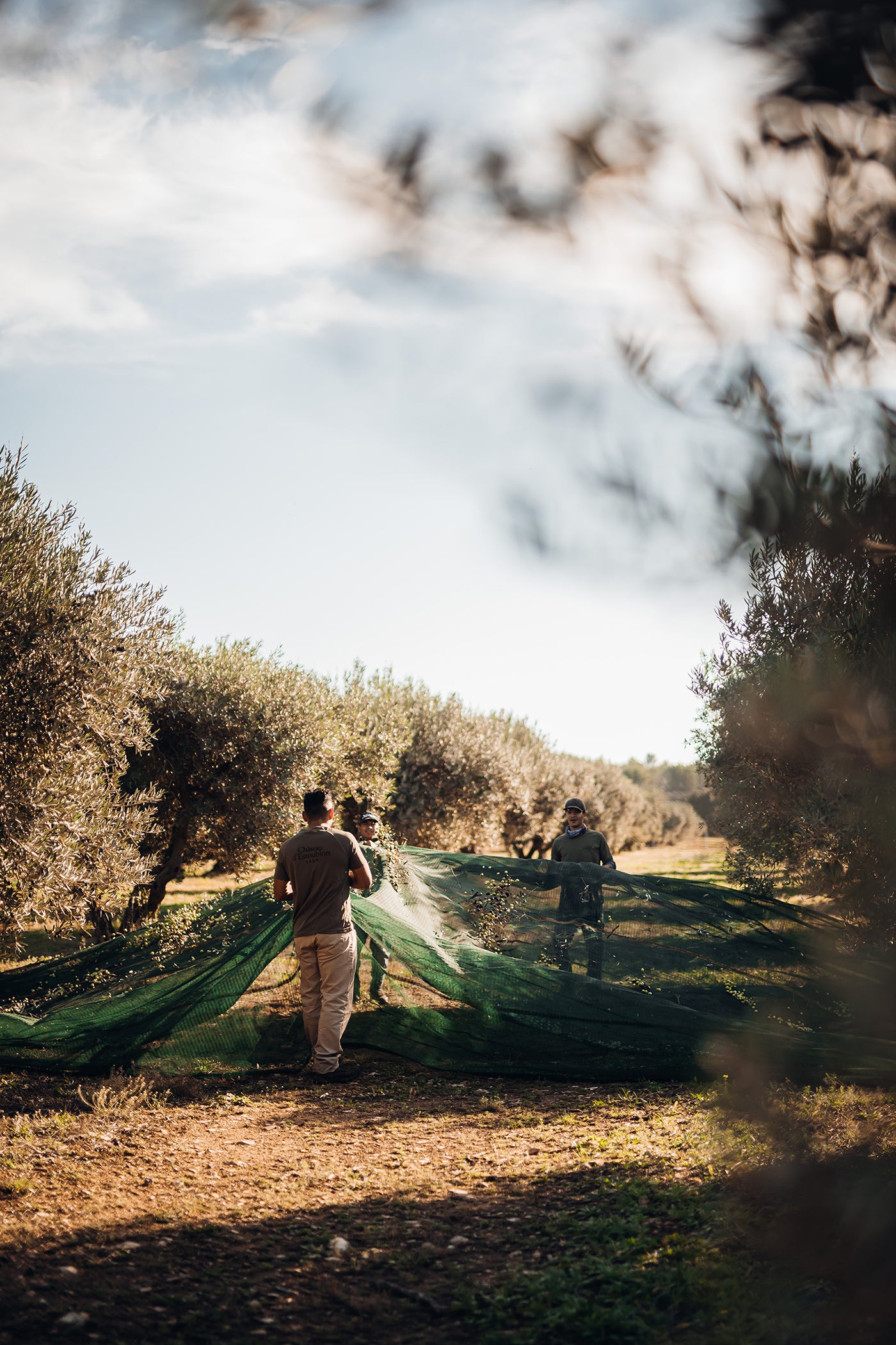 Estoublon Salonenque w/ Gift Box 6-Pack