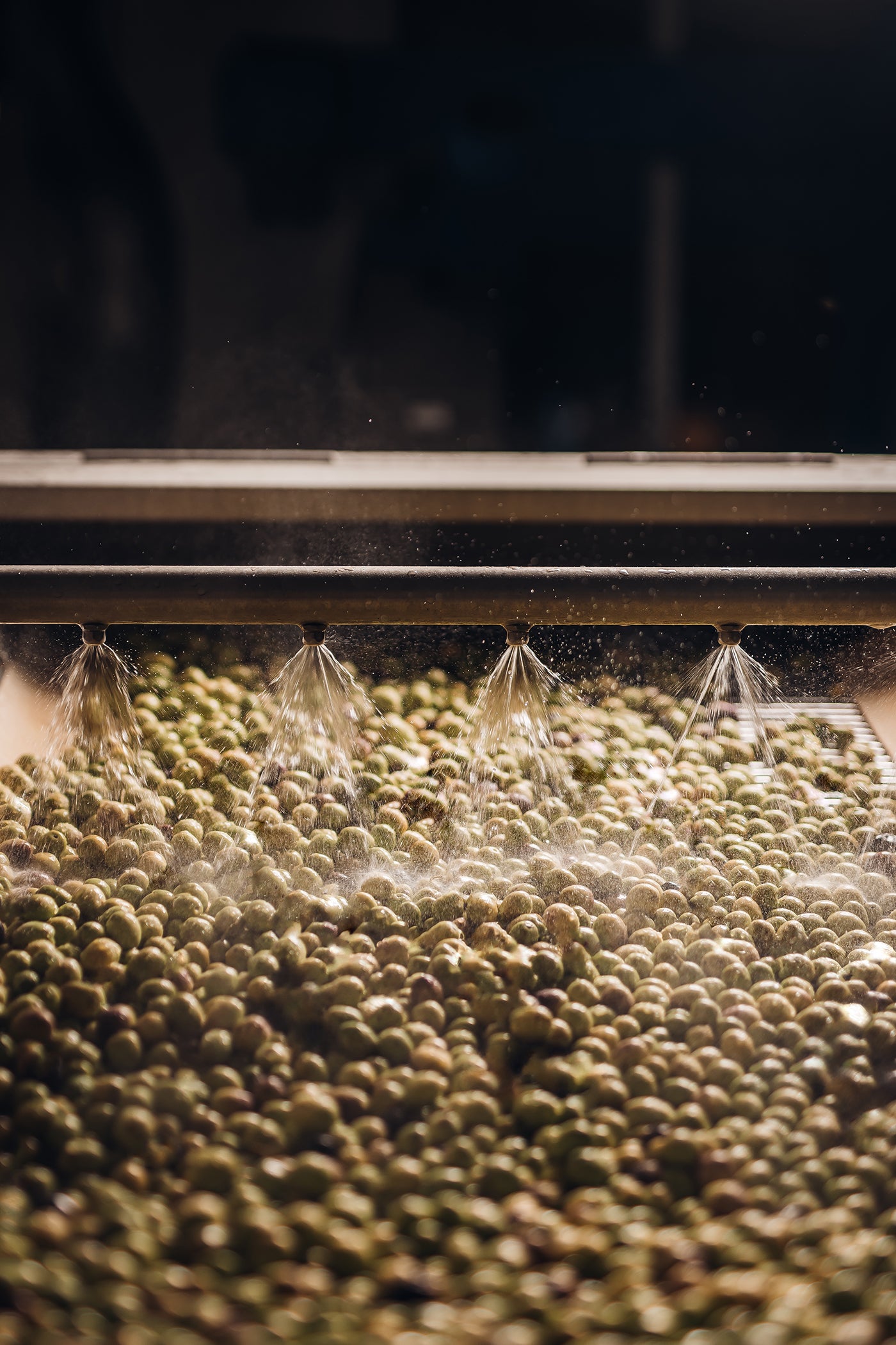 Estoublon Salonenque w/ Gift Box 6-Pack