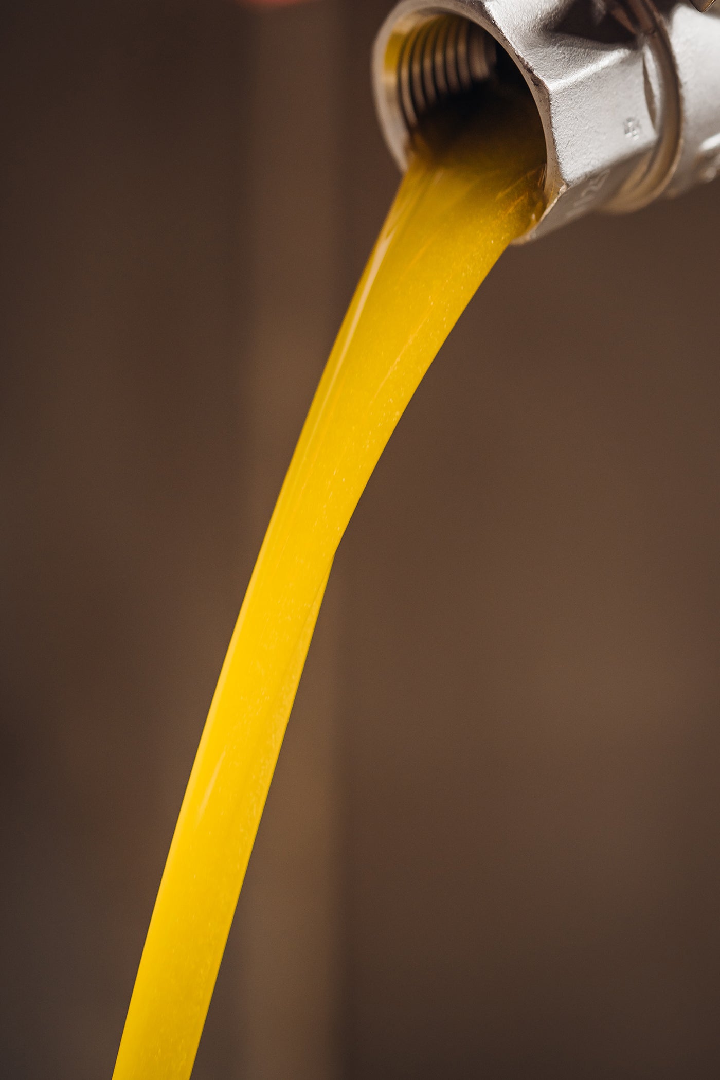 Estoublon Salonenque w/ Gift Box 6-Pack