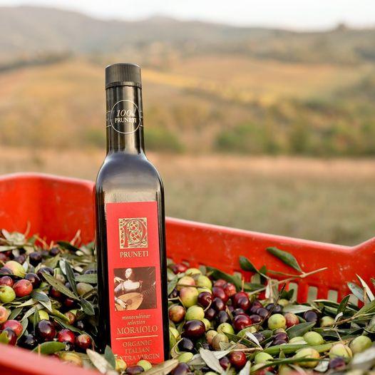 @oliveoillovers on Instagram