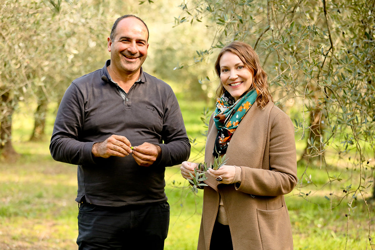 Quattrociocchi 1 Olio Novello 6-Pack