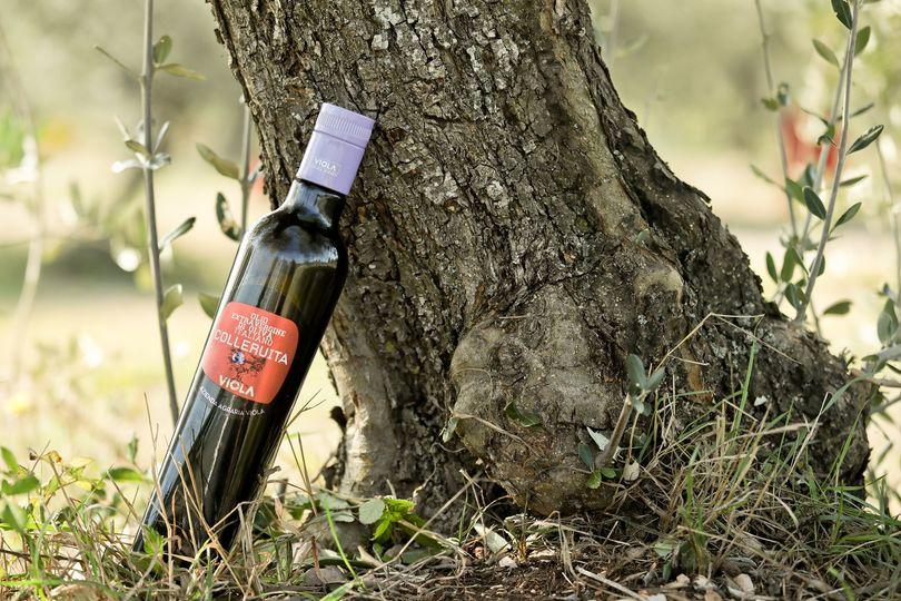 @oliveoillovers on Instagram