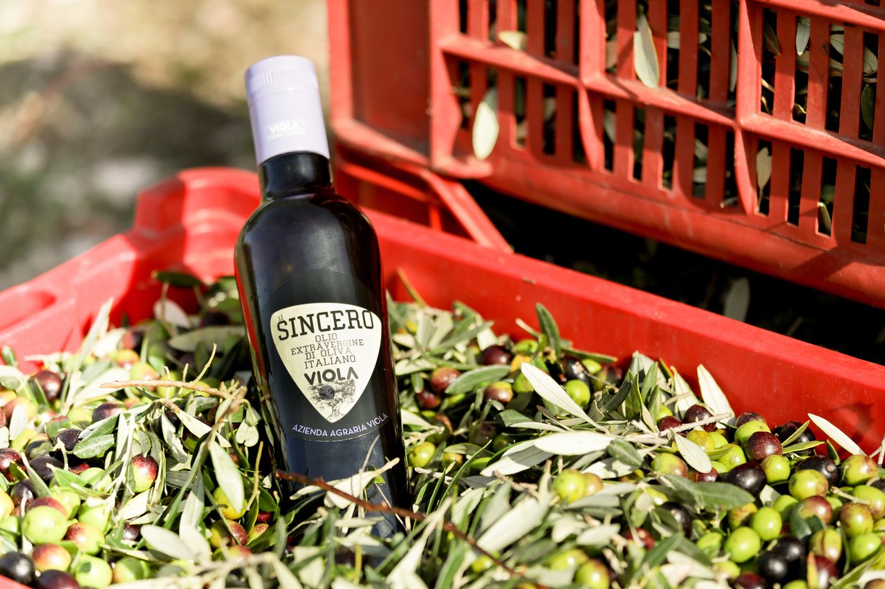 Viola il Sincero 6-Pack